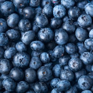 Blåbärsextrakt